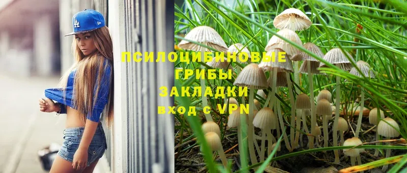 Галлюциногенные грибы Cubensis  Сыктывкар 